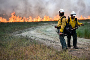 Coalition Calls for Climate Action and Equitable Outcomes in California Bond Bill